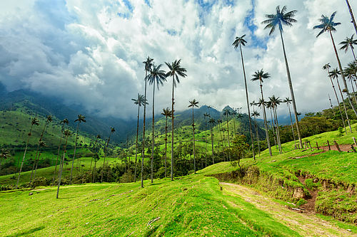 Currency Exchange, Colombian pesos, pesos colombiens, best exchange rate, meilleur taux de change, trip to Colombia, voyage en Colombie